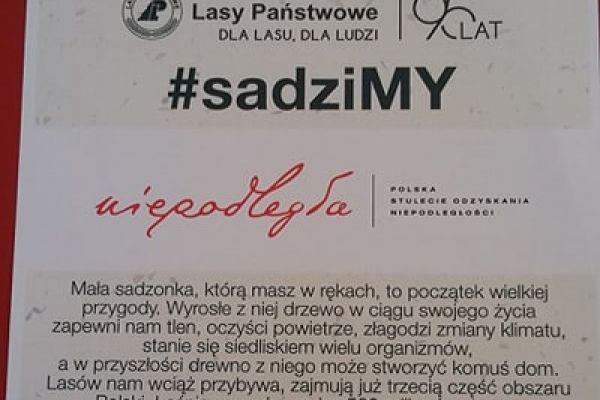sadzimy2446623cc-8115-256c-fa61-a6593e92ea905B7BC561-5C97-6A56-C371-89EB1FCBE92A.jpg
